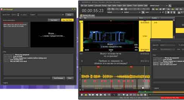Bahasa subtitling formats